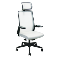 Silla 17 Oficina