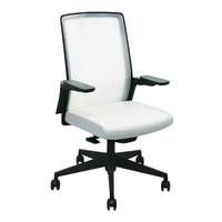 Silla 17 Oficina